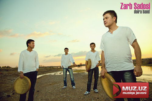 Zarb sadosi